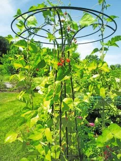 Essex Tuteur, 78" 12 Essex Tuteur, 78" -Outdoor Garden Care Shop 8587861 100 tif