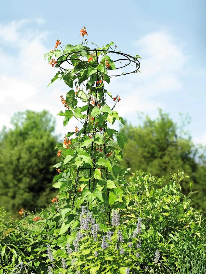 Essex Tuteur, 78" 6 Essex Tuteur, 78" - Image 4