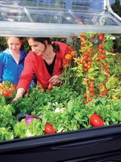 Canopia® By Palram Plant Inn™ Raised Bed Greenhouse, 4' X 4' 29 Canopia® By Palram Plant Inn™ Raised Bed Greenhouse, 4' X 4' -Outdoor Garden Care Shop 8588308 03V tif