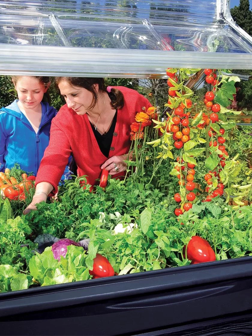 Canopia® By Palram Plant Inn™ Raised Bed Greenhouse, 4' X 4' 16 Canopia® By Palram Plant Inn™ Raised Bed Greenhouse, 4' X 4' - Image 14