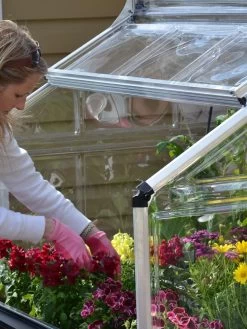 Canopia® By Palram Plant Inn™ Raised Bed Greenhouse, 4' X 4' 27 Canopia® By Palram Plant Inn™ Raised Bed Greenhouse, 4' X 4' -Outdoor Garden Care Shop 8588308 04V tif