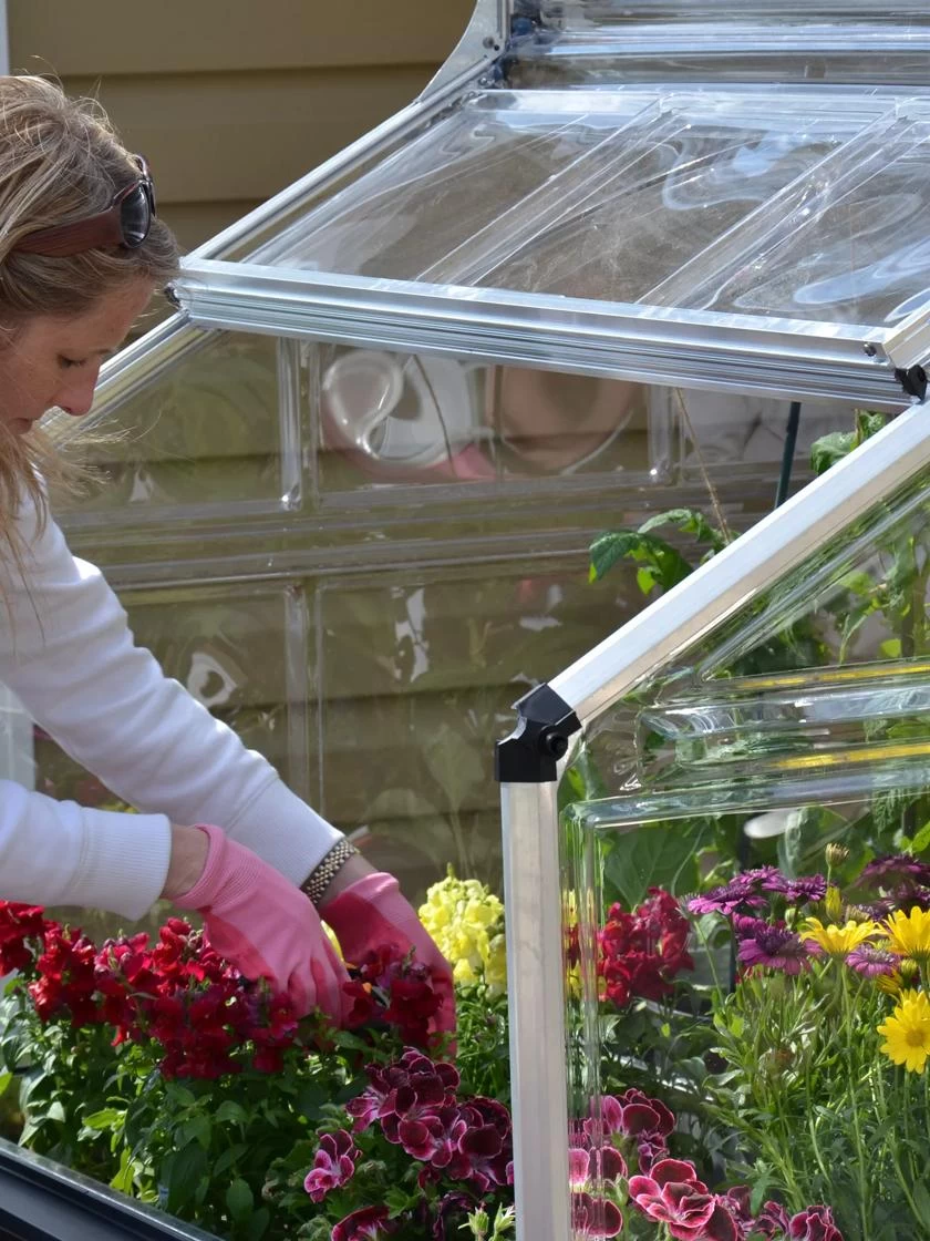 Canopia® By Palram Plant Inn™ Raised Bed Greenhouse, 4' X 4' 14 Canopia® By Palram Plant Inn™ Raised Bed Greenhouse, 4' X 4' - Image 12