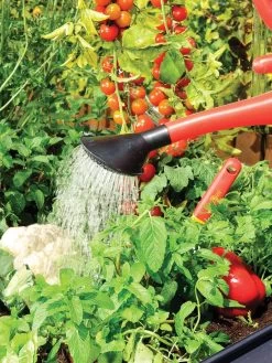 Canopia® By Palram Plant Inn™ Raised Bed Greenhouse, 4' X 4' 24 Canopia® By Palram Plant Inn™ Raised Bed Greenhouse, 4' X 4' -Outdoor Garden Care Shop 8588308 06V tif