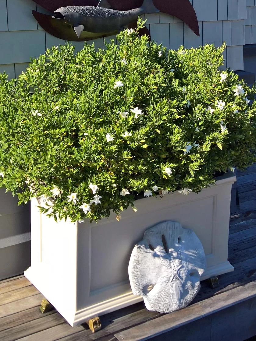 Fairfield Self-Watering Patio Planters, 20” X 36” 5 Fairfield Self-Watering Patio Planters, 20” X 36” - Image 3