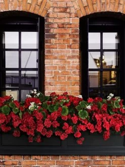 Fairfield Self-Watering Window Box, 5’ -Outdoor Garden Care Shop 8588938 102V tif