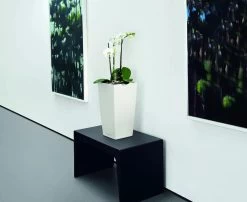 Lechuza® Cubico Color Tall Self-Watering Planters -Outdoor Garden Care Shop 8589485 03V tif