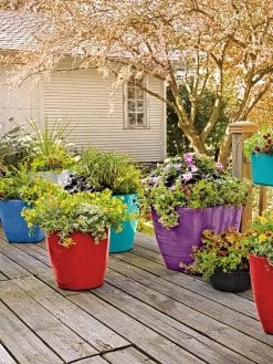 Viva Round Self-Watering Rolling Planter, 14" Diameter 8 Viva Round Self-Watering Rolling Planter, 14" Diameter -Outdoor Garden Care Shop 8589778 8000 tif