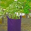 Gardener's Best® Potato Grow Bag -Outdoor Garden Care Shop 8589785PR 4191 potato grow bags with handles tif