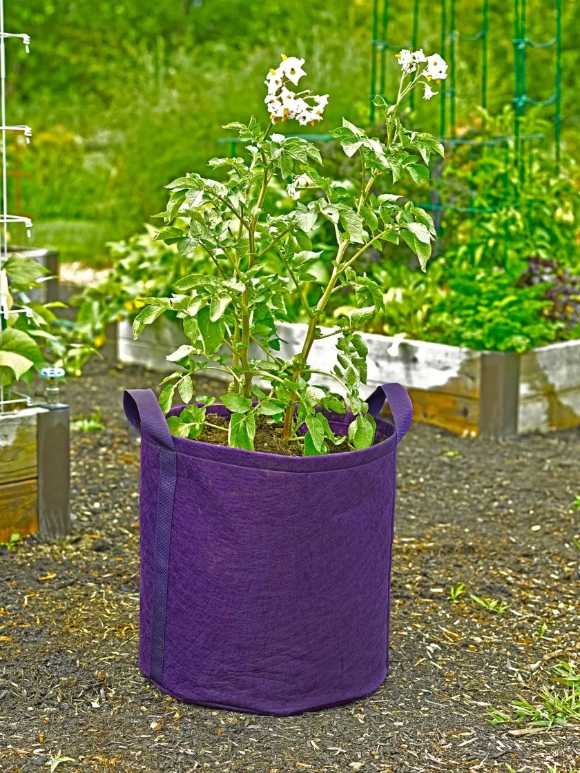Gardener's Best® Potato Grow Bag 3 Gardener's Best® Potato Grow Bag