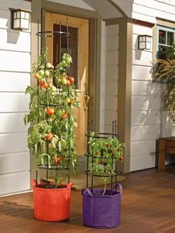 Gardener's Best® Tomato Grow Bag Set 9 Gardener's Best® Tomato Grow Bag Set -Outdoor Garden Care Shop 8590013 170 tif