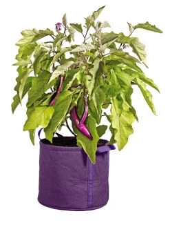Gardener's Best® Universal Grow Bag -Outdoor Garden Care Shop 8590024PR 214 tif