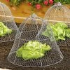 Chicken Wire Cloche 1 Chicken Wire Cloche -Outdoor Garden Care Shop 8590210 2408 wire cloche colonial tin works tif