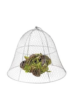 Chicken Wire Cloche 20 Chicken Wire Cloche -Outdoor Garden Care Shop 8590210 675 tif