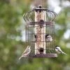 Edwardian Bird Feeder