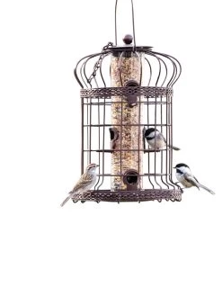 Edwardian Bird Feeder -Outdoor Garden Care Shop 8590897 200151 tif