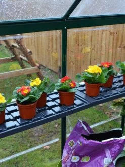 Canopia® By Palram Shelf Kit For Greenhouses, Set Of 2 Shelves 14 Canopia® By Palram Shelf Kit For Greenhouses, Set Of 2 Shelves -Outdoor Garden Care Shop 8591033 09V jpg