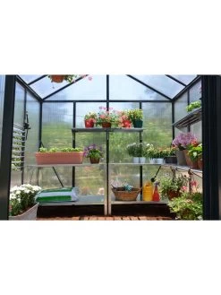 Canopia® By Palram Glory™ Greenhouse, 8' -Outdoor Garden Care Shop 8591547 02v