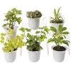 Low Light Terrarium Plant Collection, Set Of 6 -Outdoor Garden Care Shop 8591770 3595 tif