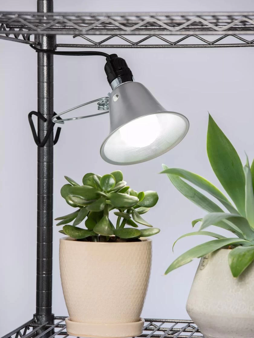 Clamping Light Fixture 4 Clamping Light Fixture - Image 2