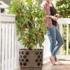 Gardener's Revolution® Tomato Planter -Outdoor Garden Care Shop 8592159 406 001E tif