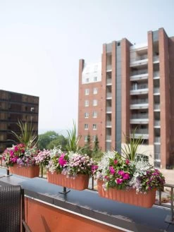 Adjustable Self-Watering Railing Planter, 24" 12 Adjustable Self-Watering Railing Planter, 24" -Outdoor Garden Care Shop 8592173TC 2383 tif