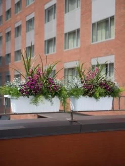 Outdoor Garden Care Shop -Outdoor Garden Care Shop 8592173WH 2403 tif