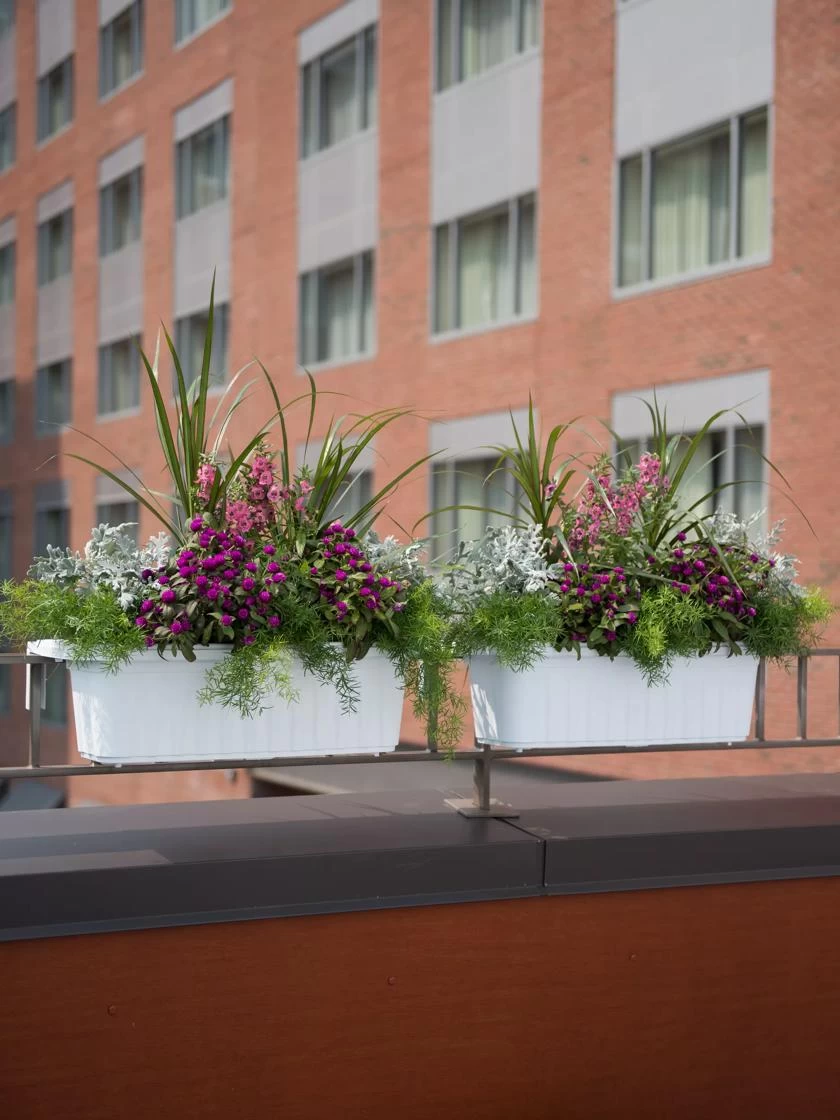 Adjustable Self-Watering Railing Planter, 24" 4 Adjustable Self-Watering Railing Planter, 24" - Image 2