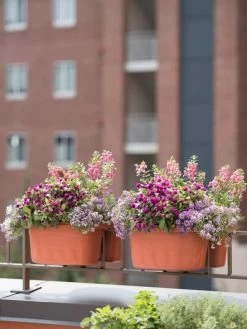 Outdoor Garden Care Shop -Outdoor Garden Care Shop 8592175TC 2421 tif