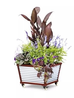 Galvanized Self-Watering Planters 9 Galvanized Self-Watering Planters -Outdoor Garden Care Shop 8592176 5067 tif