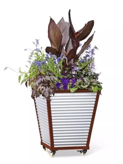 Galvanized Self-Watering Planters 10 Galvanized Self-Watering Planters -Outdoor Garden Care Shop 8592177 5066 tif
