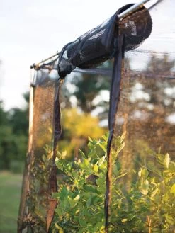 Storm Proof Crop Cage, Large -Outdoor Garden Care Shop 8592463 115 tif