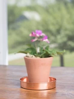 Extra Small Round Copper Plant Tray, 8" -Outdoor Garden Care Shop 8593528 4522 tif