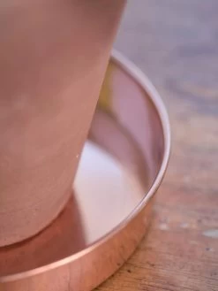 Extra Small Round Copper Plant Tray, 8" -Outdoor Garden Care Shop 8593528 4529 tif