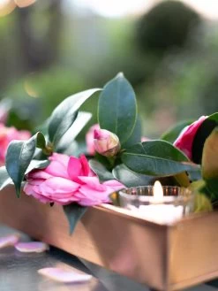 Rectangular Copper Plant Tray, 18"x4" -Outdoor Garden Care Shop 8593532 02IN tif