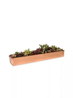 Rectangular Copper Plant Tray, 18"x4" -Outdoor Garden Care Shop 8593532 2892 tif