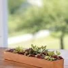 Rectangular Copper Plant Tray, 18"x4" 1 Rectangular Copper Plant Tray, 18"x4" -Outdoor Garden Care Shop 8593532 4632 tif