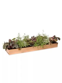 Rectangular Copper Plant Tray, 24" X 5" -Outdoor Garden Care Shop 8593533 2878 tif