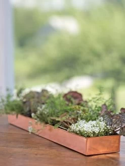 Rectangular Copper Plant Tray, 24" X 5" -Outdoor Garden Care Shop 8593533 4626 tif
