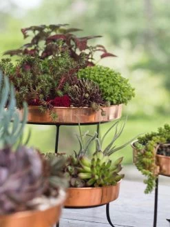 Small Round Copper Plant Tray, 10" -Outdoor Garden Care Shop 8593564 4399 tif