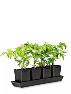 Pop-Out Pots, Set Of 4 10 Pop-Out Pots, Set Of 4 -Outdoor Garden Care Shop 8593943 1260 tif