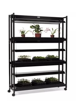 High Intensity 3-Tier SunLite® Garden 13 High Intensity 3-Tier SunLite® Garden -Outdoor Garden Care Shop 8593944 1608 tif