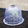 Medium Garden Cloches, Set Of 6 -Outdoor Garden Care Shop 8593985 347 tif