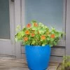 Viva Round Self-Watering Rolling Planter, 17.25” Diameter 2 Viva Round Self-Watering Rolling Planter, 17.25” Diameter -Outdoor Garden Care Shop 8594077 0087 tif