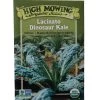 Lacinato Dino Kale Organic Seeds -Outdoor Garden Care Shop 8594082 9241 tif