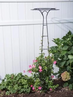 Essex Tuteur, 63" -Outdoor Garden Care Shop 8594162 0023 tif