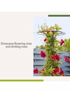 Essex Tuteur, 63" -Outdoor Garden Care Shop 8594162 4