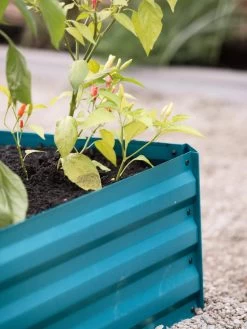 Demeter Corrugated Metal Raised Bed, 34" X 68" -Outdoor Garden Care Shop 8594183 470 tif 1