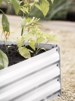 Demeter Corrugated Metal Raised Bed, 34" X 34" 14 Demeter Corrugated Metal Raised Bed, 34" X 34" -Outdoor Garden Care Shop 8594183 570 tif