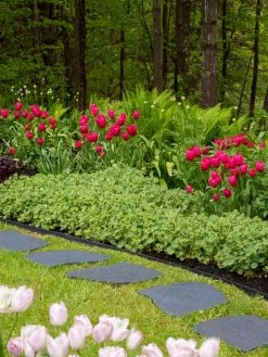 Recycled Rubber Flagstone Stepping Stone -Outdoor Garden Care Shop 8594282 518 tif