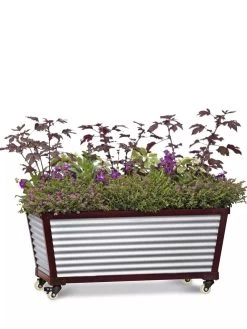 Short Galvanized Self-Watering Trough Planter -Outdoor Garden Care Shop 8594329 5065 tif
